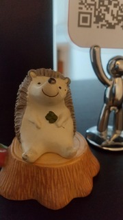 DSC_0999.JPG