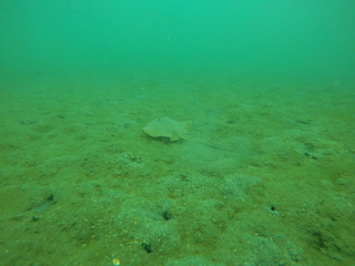 GOPR0102.JPG