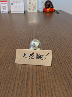 PXL_20241228_001048607.jpg