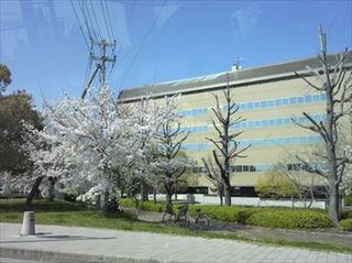 150330_141538_R.jpg
