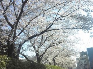 150330_155558_R.jpg