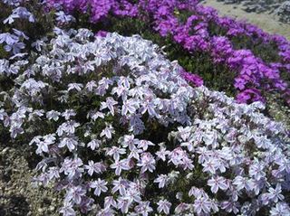 150426_110618_R.jpg