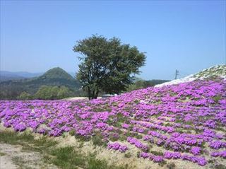 150426_111637_R.jpg