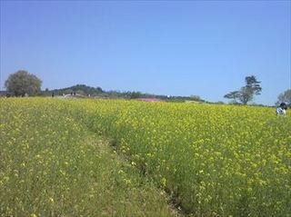 150426_112121_R.jpg