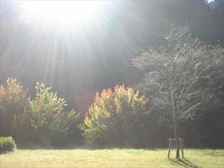 151018_100953_R.jpg