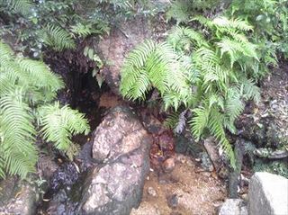 151101_131340_R.jpg