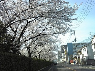 s-140331_083810.jpg